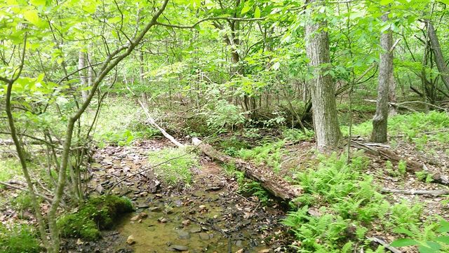 00 Tracks Hollow, Murphy, NC 28906