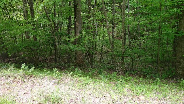 00 Tracks Hollow, Murphy, NC 28906