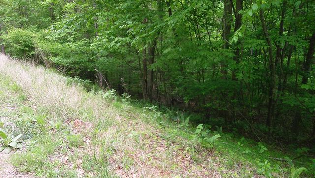 00 Tracks Hollow, Murphy, NC 28906
