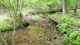 00 Tracks Hollow, Murphy, NC 28906