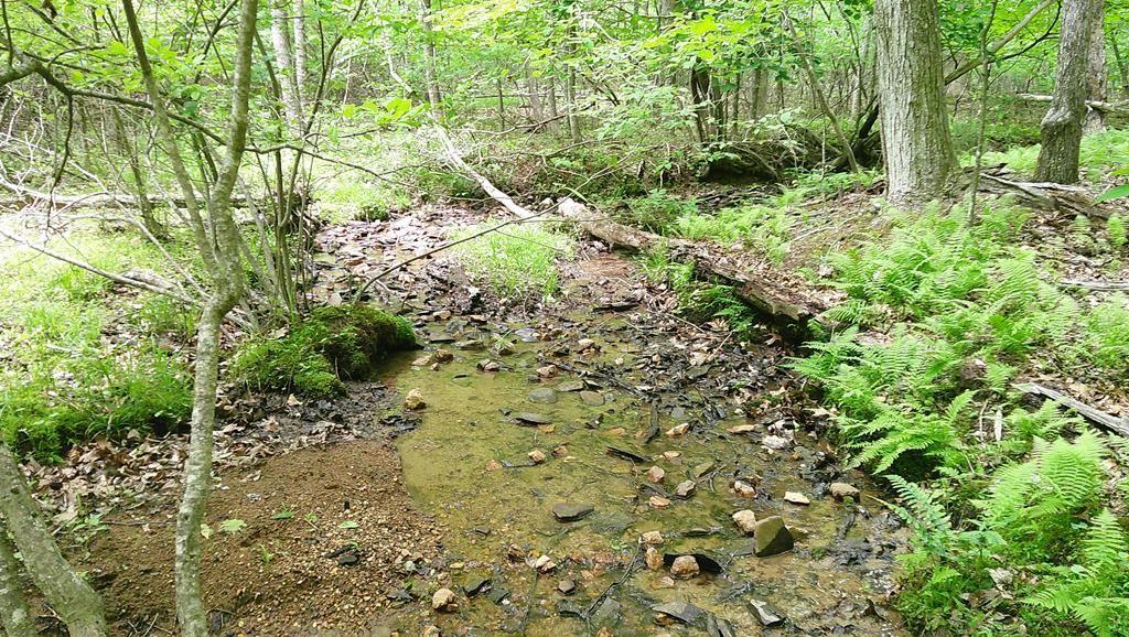 00 Tracks Hollow, Murphy, NC 28906