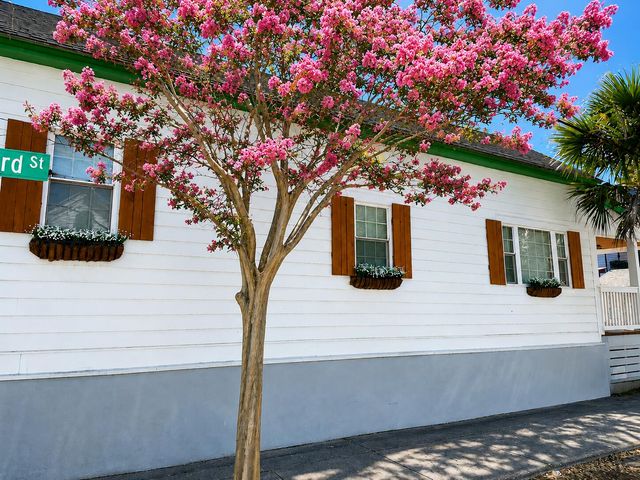 33 Sheppard Street, Charleston, SC 29403