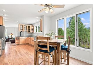 25457 Snyder Ave, Conifer, CO 80433