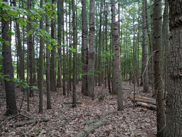 404 Lockwood Drive, Gladwin, MI 48624