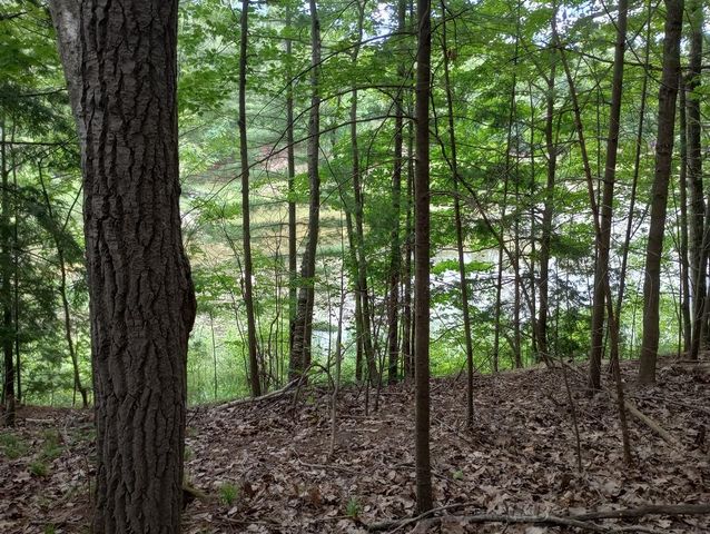 404 Lockwood Drive, Gladwin, MI 48624