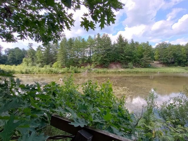 404 Lockwood Drive, Gladwin, MI 48624
