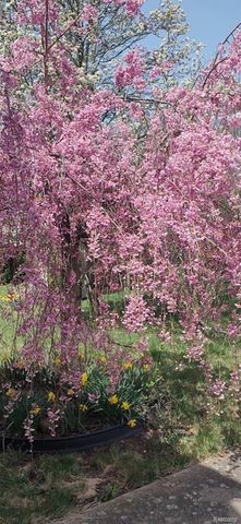 14949 Taylor Boulevard, Livonia, MI 48154