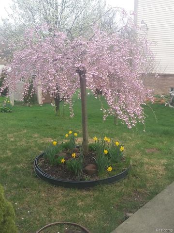 14949 Taylor Boulevard, Livonia, MI 48154