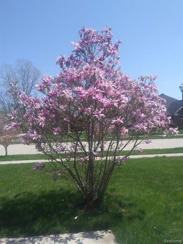 14949 Taylor Boulevard, Livonia, MI 48154