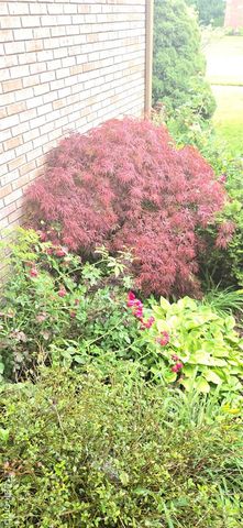 14949 Taylor Boulevard, Livonia, MI 48154