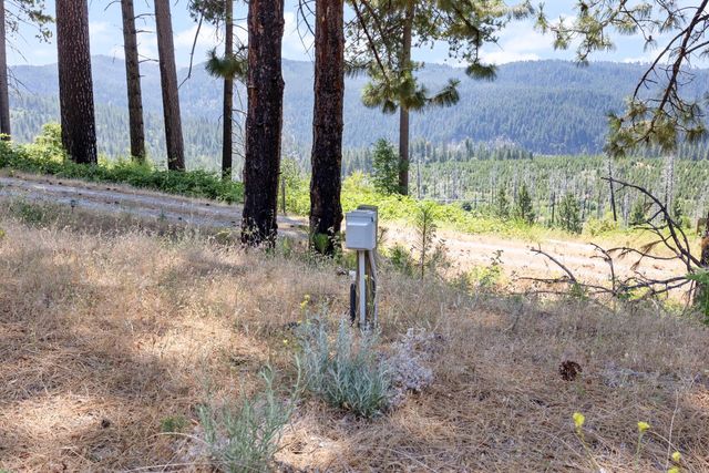 8009 Spring Valley Rd, Pollock Pines, CA 95726