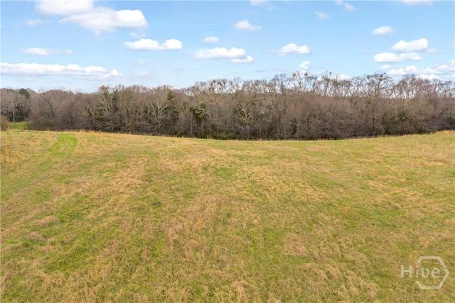 787 Parham Town Road, Bowman, GA 30624