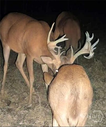 787 Parham Town Road, Bowman, GA 30624