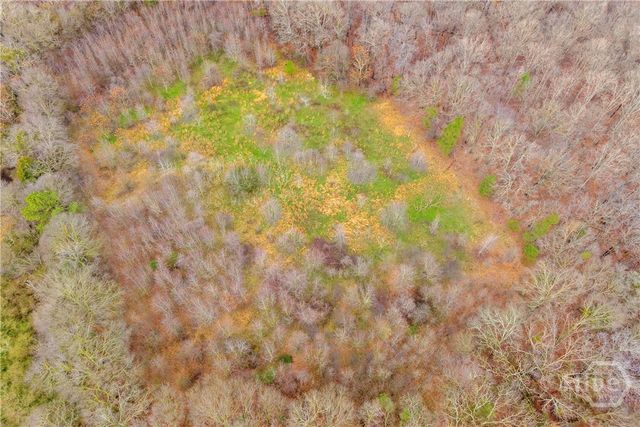 787 Parham Town Road, Bowman, GA 30624