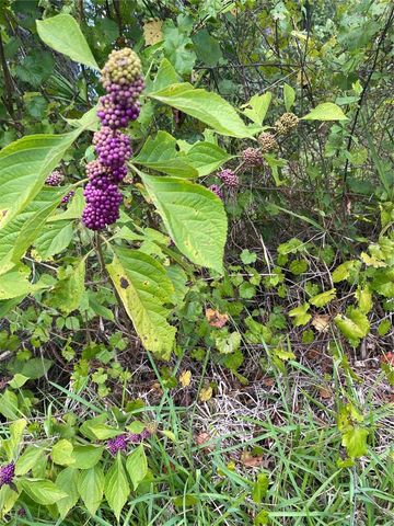 4343 W STATE HIGHWAY 100, Bunnell, FL 32110