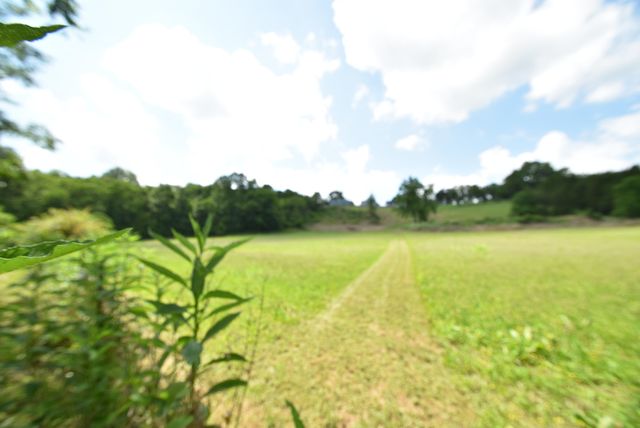 691 Fairview Road, Salvisa, KY 40372