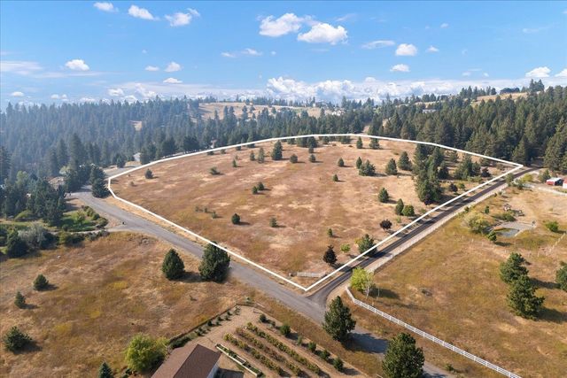 15013 S Palomino Ln, Mica, WA 99023