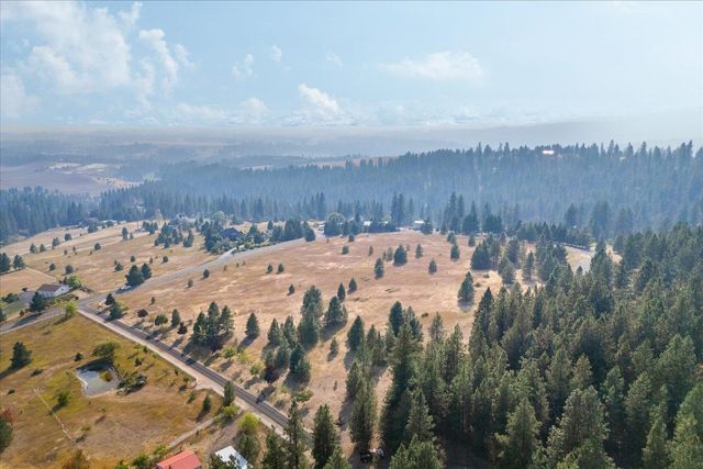 15013 S Palomino Ln, Mica, WA 99023