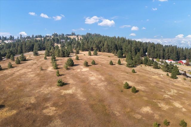 15013 S Palomino Ln, Mica, WA 99023