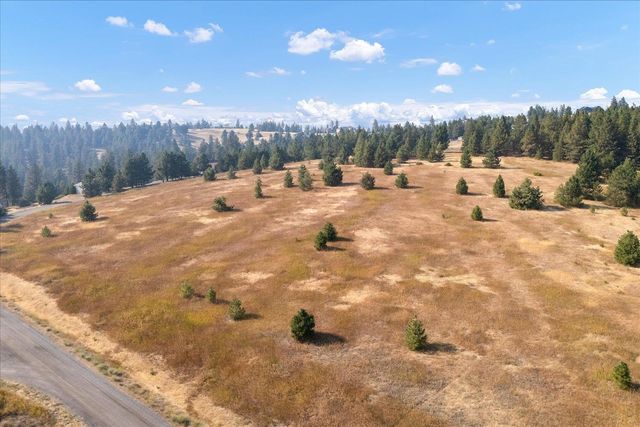 15013 S Palomino Ln, Mica, WA 99023