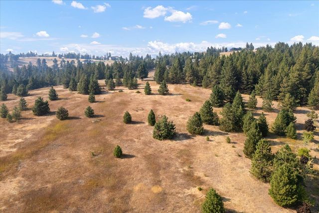 15013 S Palomino Ln, Mica, WA 99023