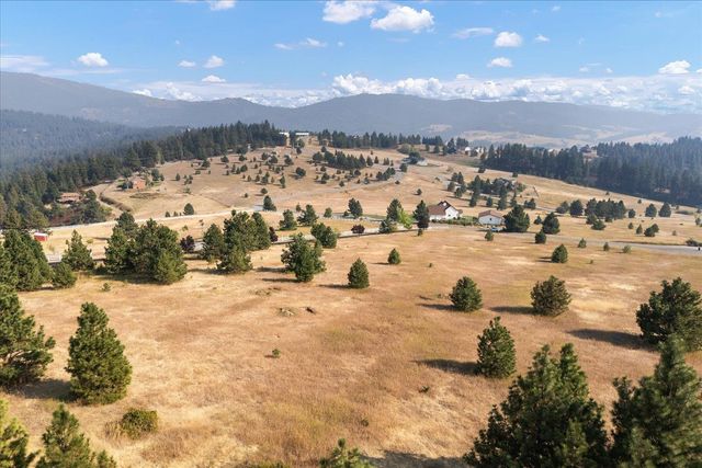 15013 S Palomino Ln, Mica, WA 99023