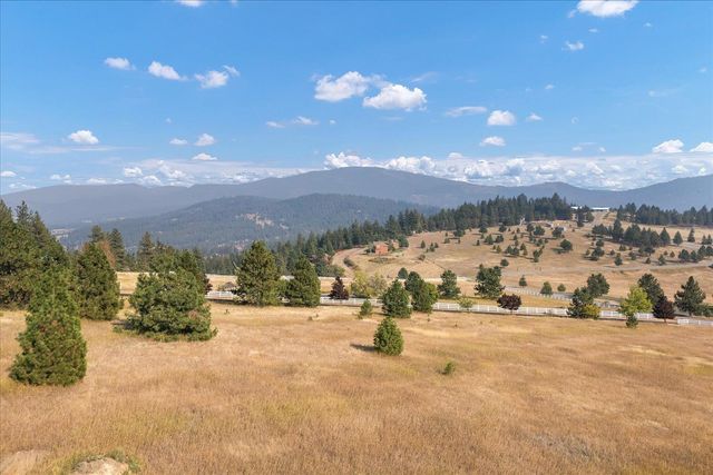 15013 S Palomino Ln, Mica, WA 99023