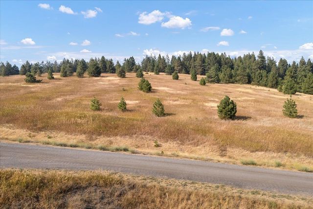 15013 S Palomino Ln, Mica, WA 99023