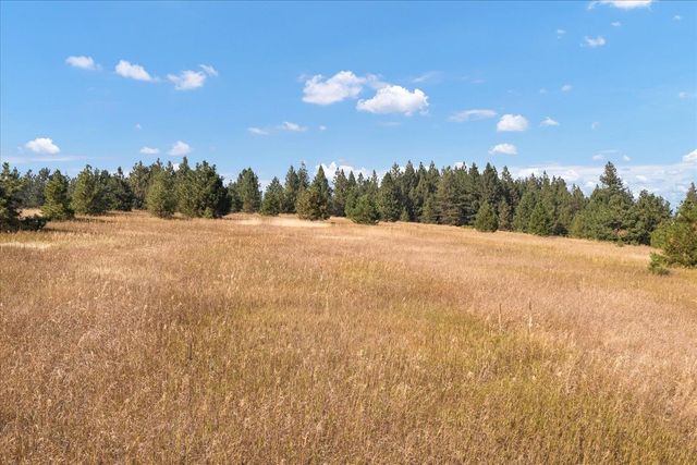 15013 S Palomino Ln, Mica, WA 99023