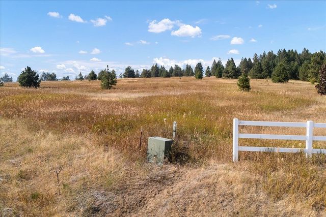 15013 S Palomino Ln, Mica, WA 99023