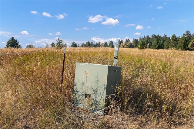 15013 S Palomino Ln, Mica, WA 99023