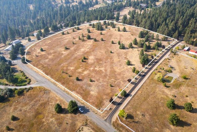 15013 S Palomino Ln, Mica, WA 99023