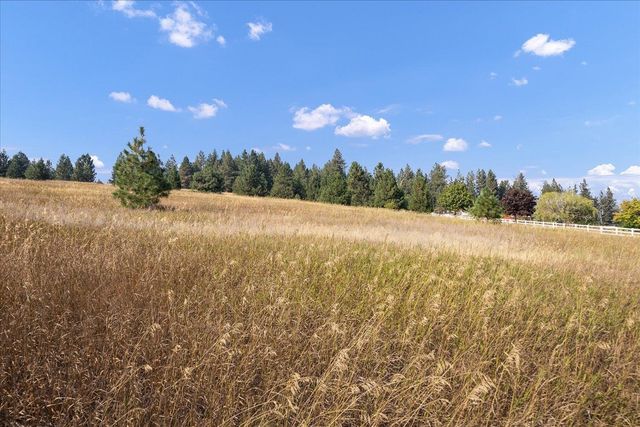 15013 S Palomino Ln, Mica, WA 99023