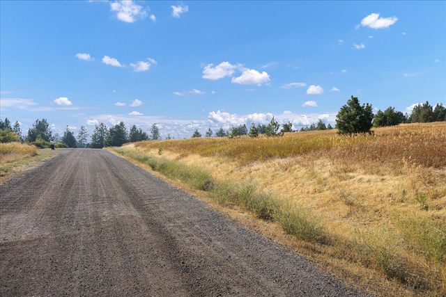 15013 S Palomino Ln, Mica, WA 99023