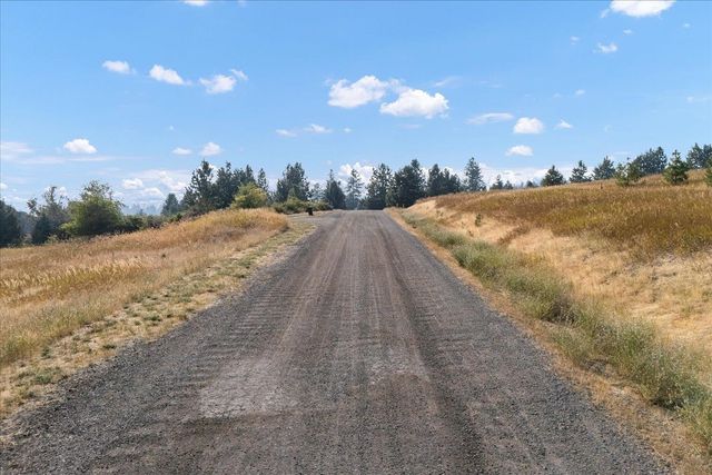 15013 S Palomino Ln, Mica, WA 99023