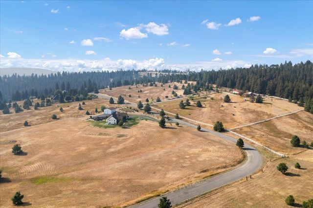 15013 S Palomino Ln, Mica, WA 99023