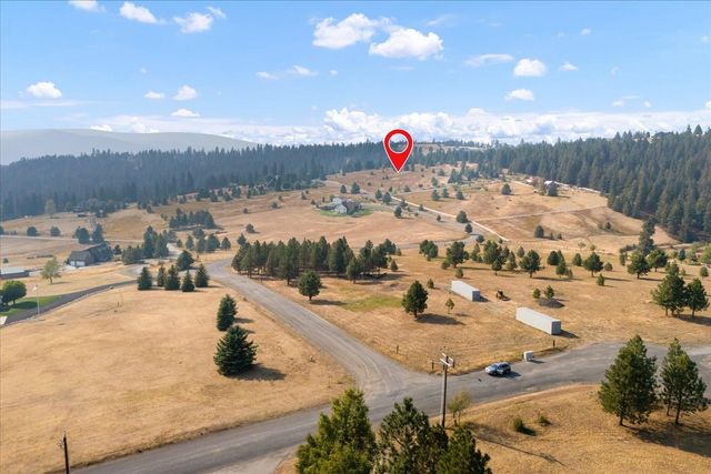 15013 S Palomino Ln, Mica, WA 99023