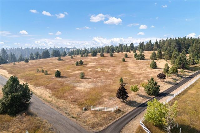 15013 S Palomino Ln, Mica, WA 99023