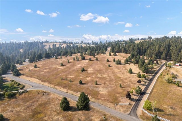 15013 S Palomino Ln, Mica, WA 99023