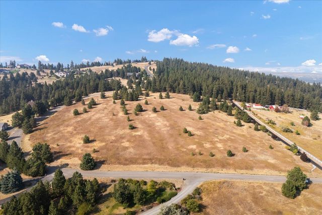 15013 S Palomino Ln, Mica, WA 99023