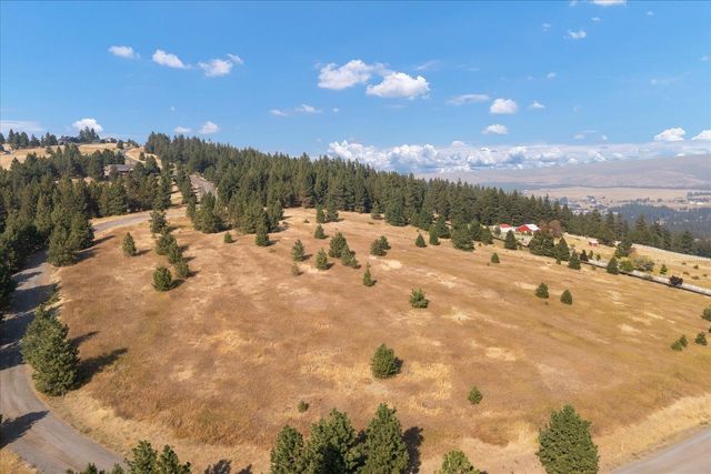 15013 S Palomino Ln, Mica, WA 99023