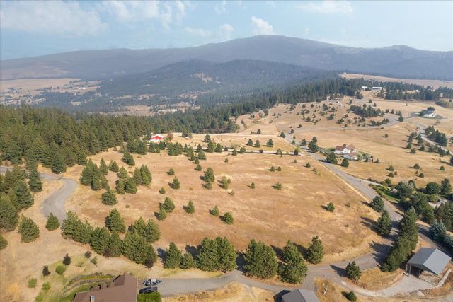 15013 S Palomino Ln, Mica, WA 99023