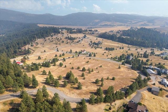 15013 S Palomino Ln, Mica, WA 99023