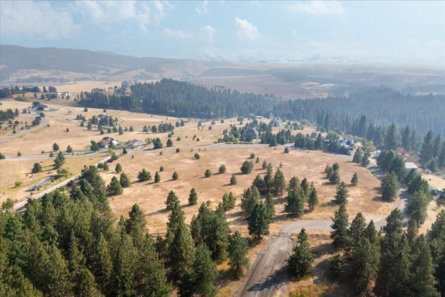 15013 S Palomino Ln, Mica, WA 99023