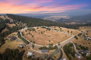 15013 S Palomino Ln, Mica, WA 99023