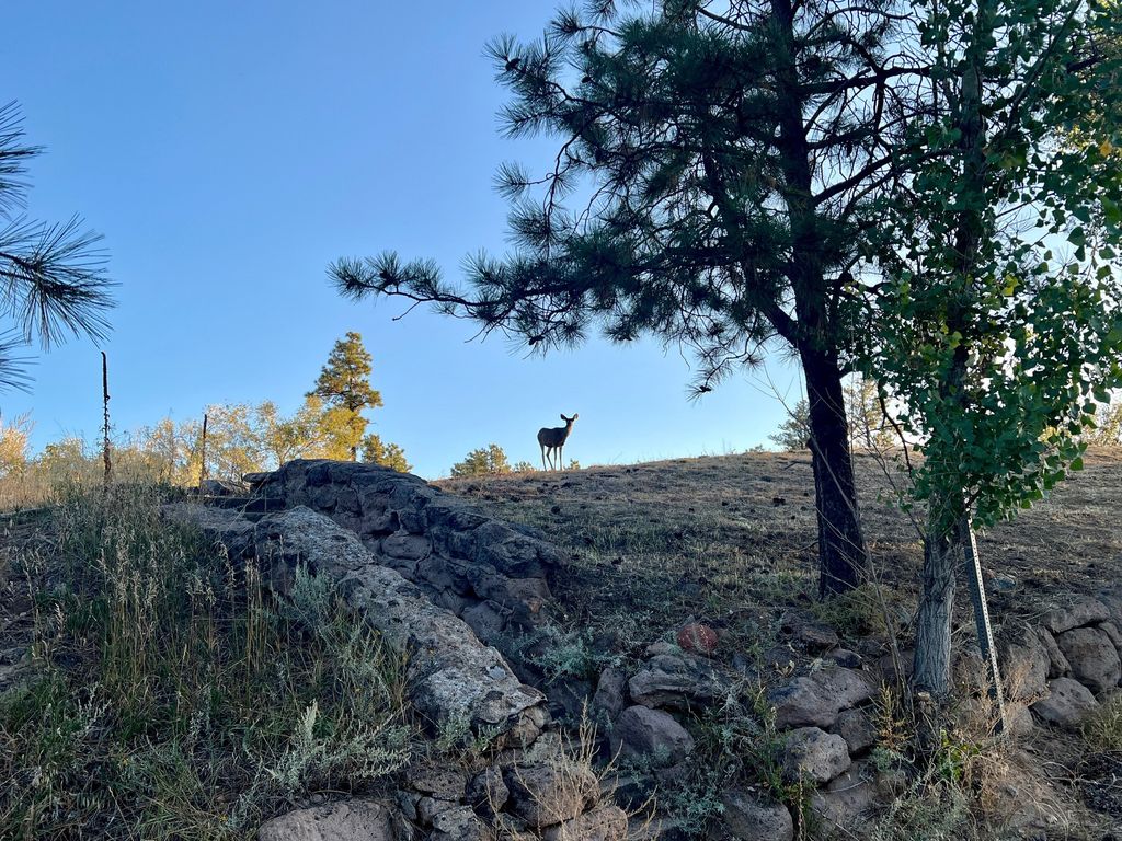 4226 Alabama Avenue, Los Alamos, NM 87544
