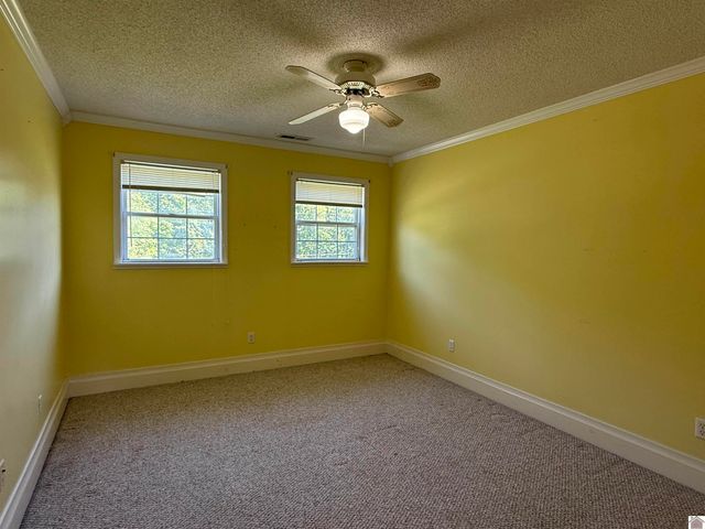 248 Impala Road, Gilbertsville, KY 42044