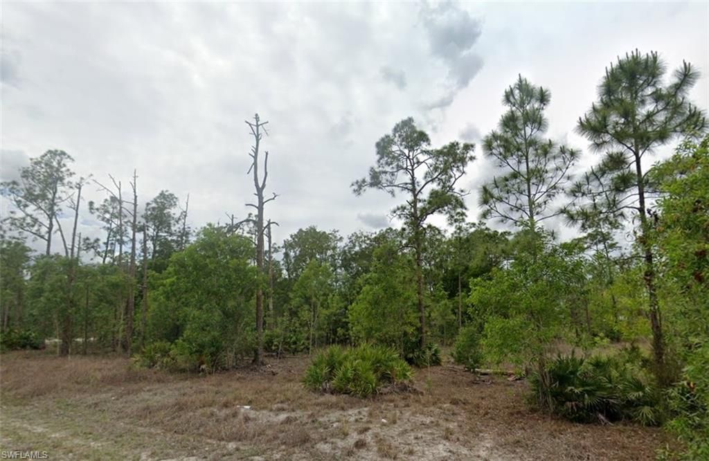 203 Wellington AVE, LEHIGH ACRES, FL 33936 — exterior