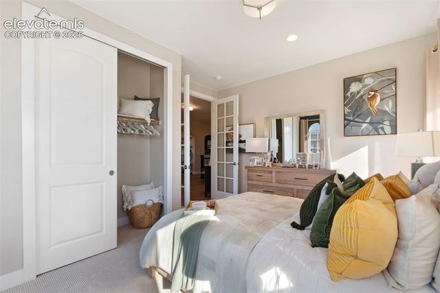 6723 Chelsea Thicket Court, Colorado Springs, CO 80924