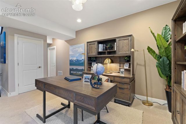 6723 Chelsea Thicket Court, Colorado Springs, CO 80924